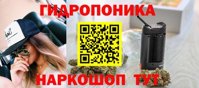 эйфоретик Кинель