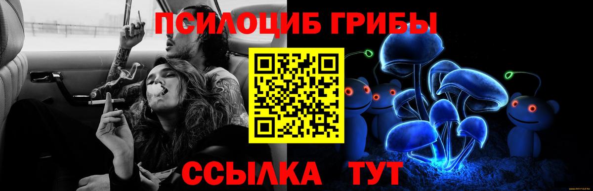 Галлюциногенные грибы Cubensis  Вход с VPN  Заречный  Галлюциногенные грибы ЛСД 